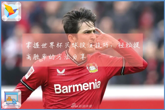 掌握世界杯买球投注技巧，轻松提高胜率的方法分享