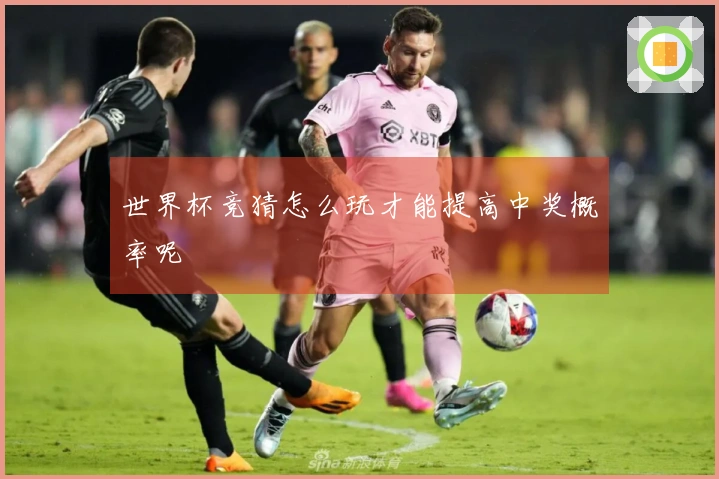 世界杯竞猜怎么玩才能提高中奖概率呢