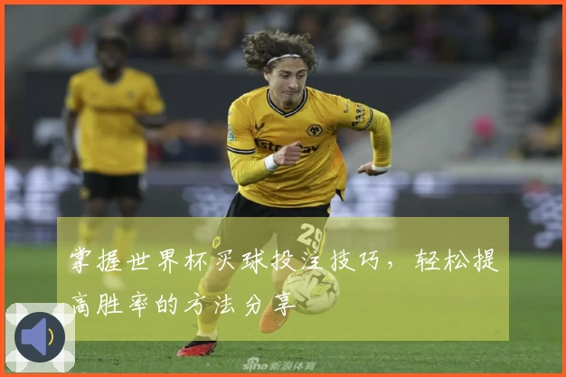 掌握世界杯买球投注技巧，轻松提高胜率的方法分享